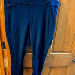 Nine West Navy Blue Skinny Pant